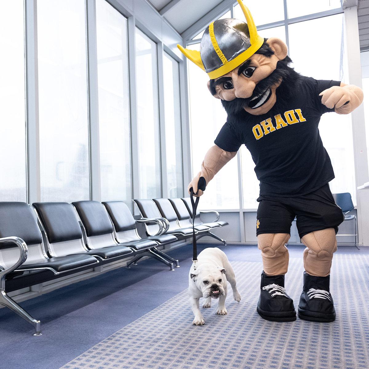 Joe Vandal holds the leash of a small white bulldog in the 莫斯科-Pullman Airport's waiting area.
